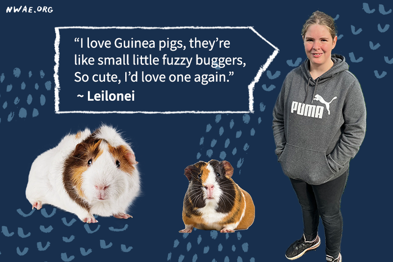 Leiloni smiling next to two guinea pigs. She hopes to have a guinea pig as a pet some day.